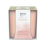 ipuro Essentials Time for a Hug mirisna svijeća 125g
