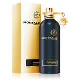 Montale Oudyssee Parfemska voda 100ml
