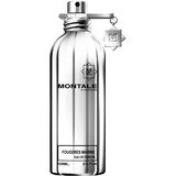 Montale Fougeres Marine Parfemska voda 100ml