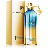 Montale Aoud Lagoon Parfemska voda, 100ml