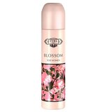 Cuba Original Cuba Blossom Parfemska voda 100ml