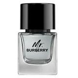 Burberry Mr. Burberry for Men Eau de toilette Toaletna voda 50ml