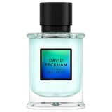 David Beckham True Instinct Parfemska voda 50ml