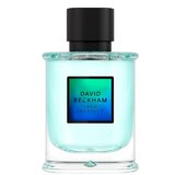David Beckham True Instinct Parfemska voda 75ml