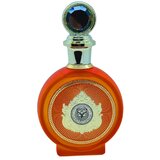 North Stag Expressions IV Quarte Parfemska voda 100ml