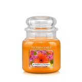 Country Candle Sunshine & Daisies mirisna svijeća srednje veličine 2 fitilja (453 g)