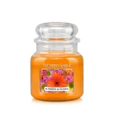 Country Candle Sunshine & Daisies mirisna svijeća srednje veličine 2 fitilja (453 g)