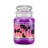 Country Candle Purple Palm velika mirisna svijeća s 2 fitilja (652 g)