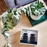 ipuro Essentials Black Bamboo 2x50ml difuzor u poklon kutiji