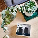 ipuro Essentials Black Bamboo 2x50ml difuzor u poklon kutiji