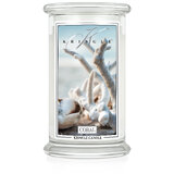 Kringle Candle Coral velika mirisna svijeća s 2 fitilja (624 g)