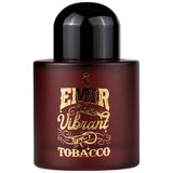 Emir Vibrant Spicy Tobacco Parfemska voda 100ml