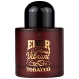 Emir Vibrant Spicy Tobacco Parfemska voda 100ml