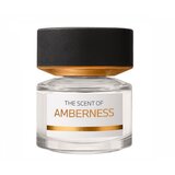 BMW The Scent of Amberness Parfemska voda 50ml