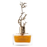 Aurora Scents Deciduous Summer Parfemska voda 100ml