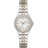 Guess Colette GW1027L5