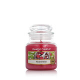 Yankee Candle Classic Small Jar Candles Mirisne svijeće 104 g
