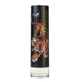 Christian Audigier Ed Hardy Men's Toaletna voda 100ml