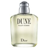 Dior Dune pour Homme Toaletna voda 100ml