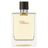 Hermes Terre D'Hermes Toaletna voda 100ml