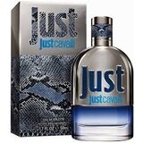Roberto Cavalli Just Cavalli Him 2013 toaletna voda 50ml