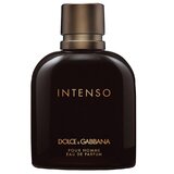 Dolce & Gabbana Intenso Pour Homme Parfemska voda 125ml