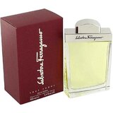 Salvatore Ferragamo Pour Homme toaletna voda 100ml