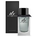 Burberry Mr. Burberry for Men Eau de toilette toaletna voda 100ml