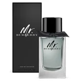 Burberry Mr. Burberry for Men Eau de toilette toaletna voda 100ml