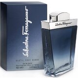 Salvatore Ferragamo Subtil Pour Homme Toaletna voda 100ml