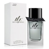 Burberry Mr. Burberry Eau de Toilette - tester, 100 ml