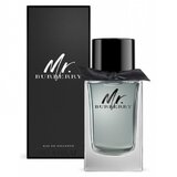 Burberry Mr. Burberry for Men Eau de toilette toaletna voda 150ml