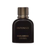 Dolce & Gabbana Intenso Pour Homme Parfemska voda 40ml