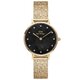 Daniel Wellington DW00100595 - Ženski sat