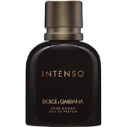 Dolce & Gabbana Intenso Pour Homme Parfimirana voda - Tester