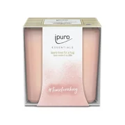 ipuro Essentials Time for a Hug mirisna svijeća 125g