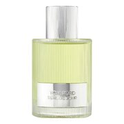 Tom Ford Beau de Jour Parfemska voda 100ml