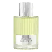 Tom Ford Beau de Jour Parfemska voda 100ml