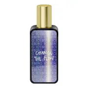 Iceberg Change The Flow For Him Toaletna voda 30ml