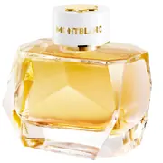 Mont Blanc Signature Absolue Eau de Parfum Parfemska voda 90ml