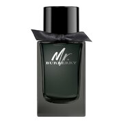 Burberry Mr.Burberry Eau de Parfum Parfemska voda