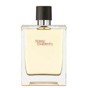 Hermes Terre D'Hermes Toaletna voda - Tester