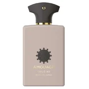 Amouage Opus XII Rose Incense Parfemska voda