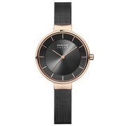 Bering 14631-166 solar ladies 31mm 5ATM