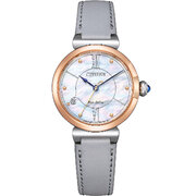Citizen EM1074-15D Eco-Drive Elegance Ladies Watch 30mm 5ATM