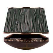 Maison Asrar Never Forget Me Parfemska voda