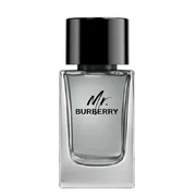Burberry Mr. Burberry for Men Eau de toilette Toaletna voda 100ml