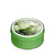 Mirisna svijeća Kringle Candle Balsam Fir (35 g)