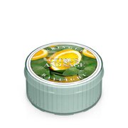 Kringle Candle mirisna svijeća CITRUS & KADULJA (35 g)