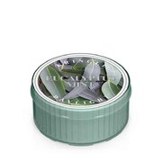 Kringle Candle Eucalyptus Mint mirisna svijeća (35 g)